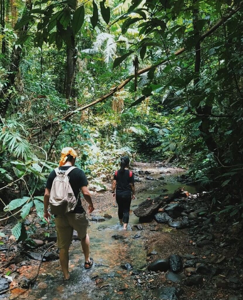 Trandei Eco-Lodge / trandiebrunei / Instagram