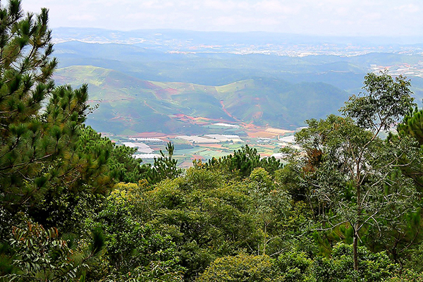 Lang Biang scenery, Vietnam. Image courtesy of Kristina Stamp.