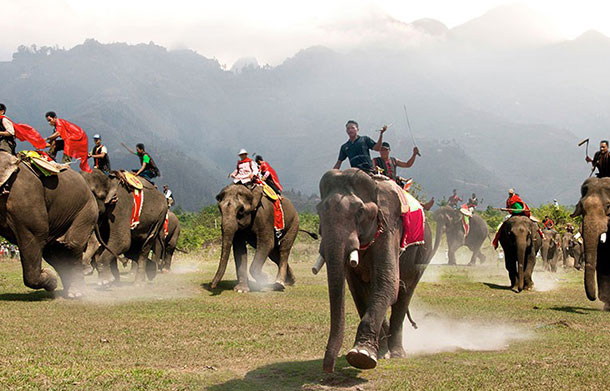 Elephant Race Festival