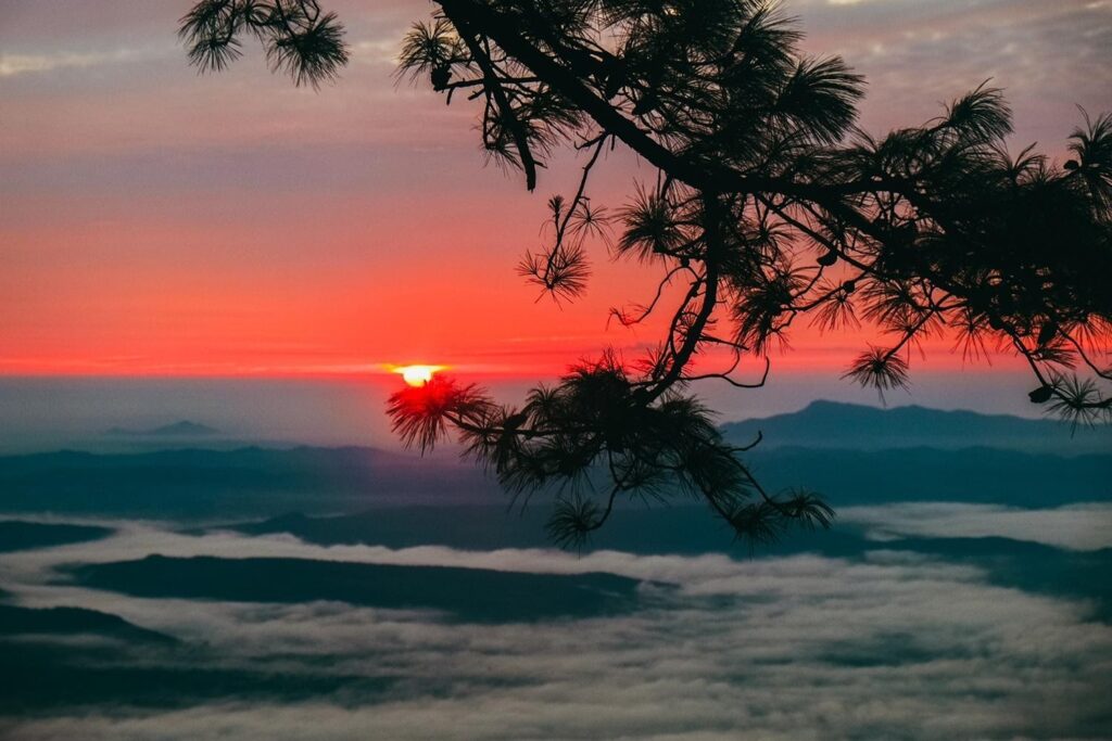 In the northeast province of Loei, visitors can take in Phu Kradueng National Park.