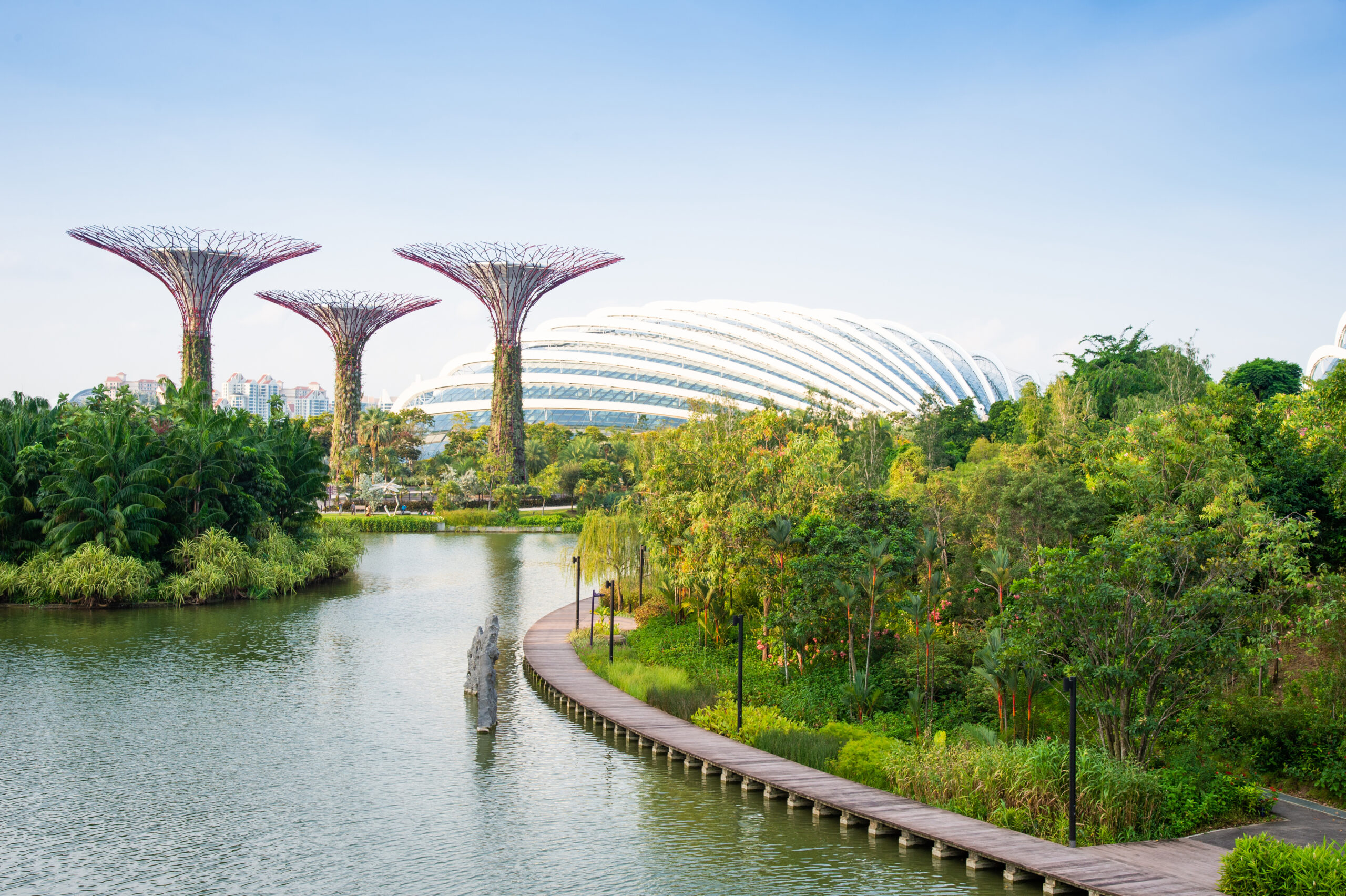 Gardens by the Bay